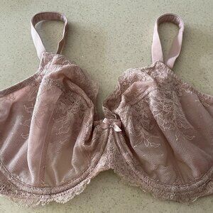 Panache Ana Rose Color Non-Padded Plunge Underwire Bra (9396)